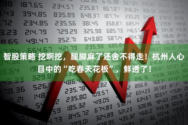 智股策略 挖啊挖，腿脚麻了还舍不得走！杭州人心目中的“吃春天花板”，鲜透了！