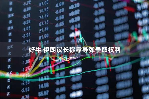好牛 伊朗议长称靠导弹争取权利